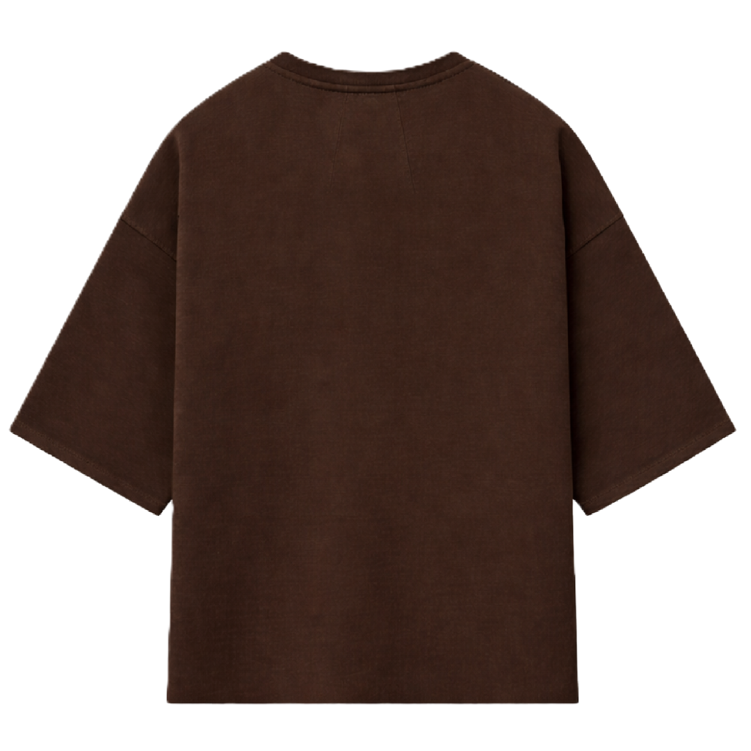 Oversized T-Shirt In  Brown
